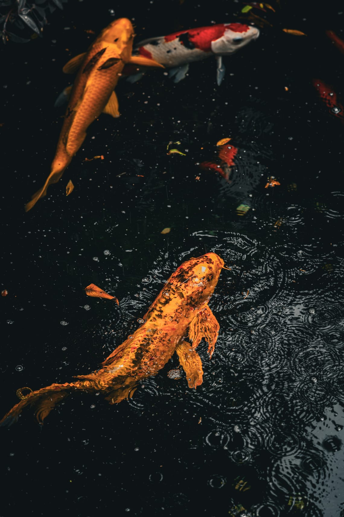 Taipei, Taiwan