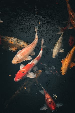 Taipei, Taiwan